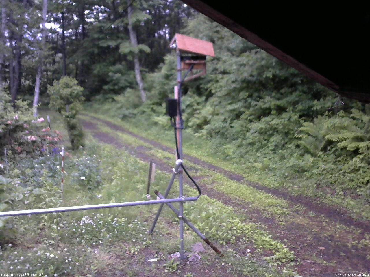 長野県菅平高原 ゆたか山荘 南側 2026/06/12 05:30