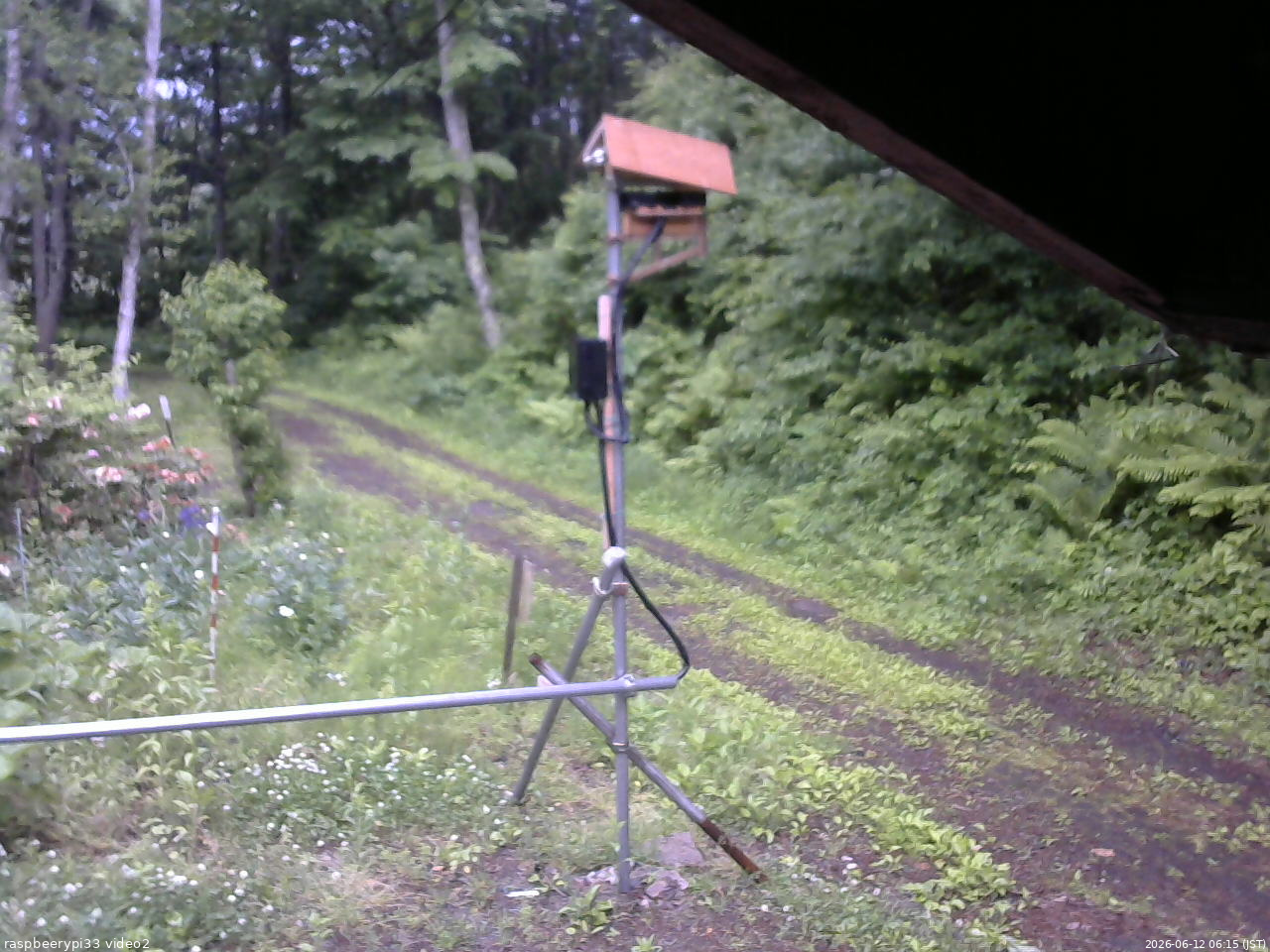 長野県菅平高原 ゆたか山荘 南側 2026/06/12 06:15