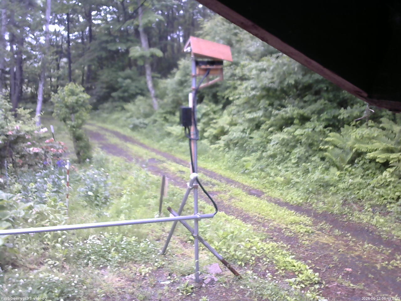 長野県菅平高原 ゆたか山荘 南側 2026/06/12 06:45