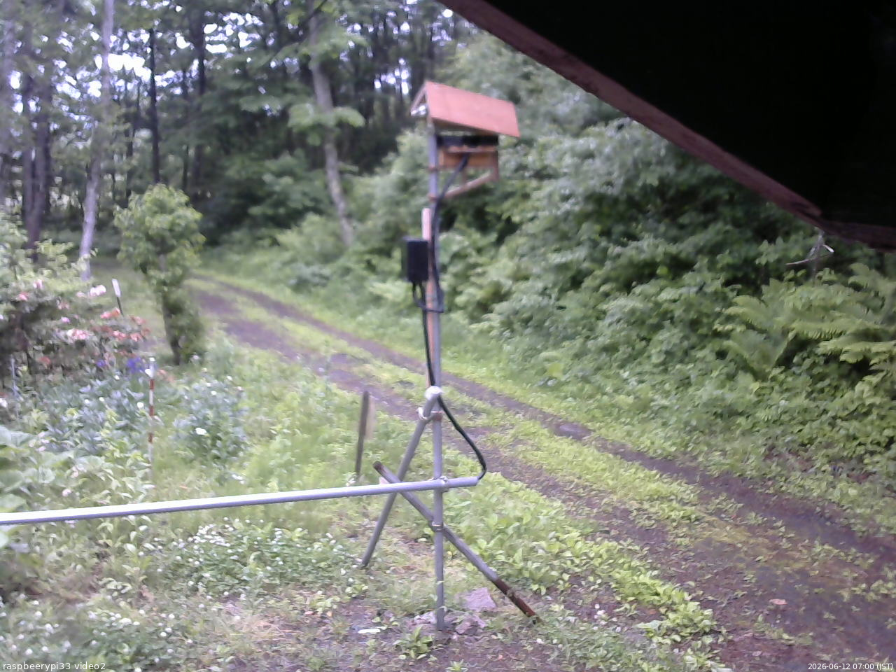 長野県菅平高原 ゆたか山荘 南側 2026/06/12 07:00