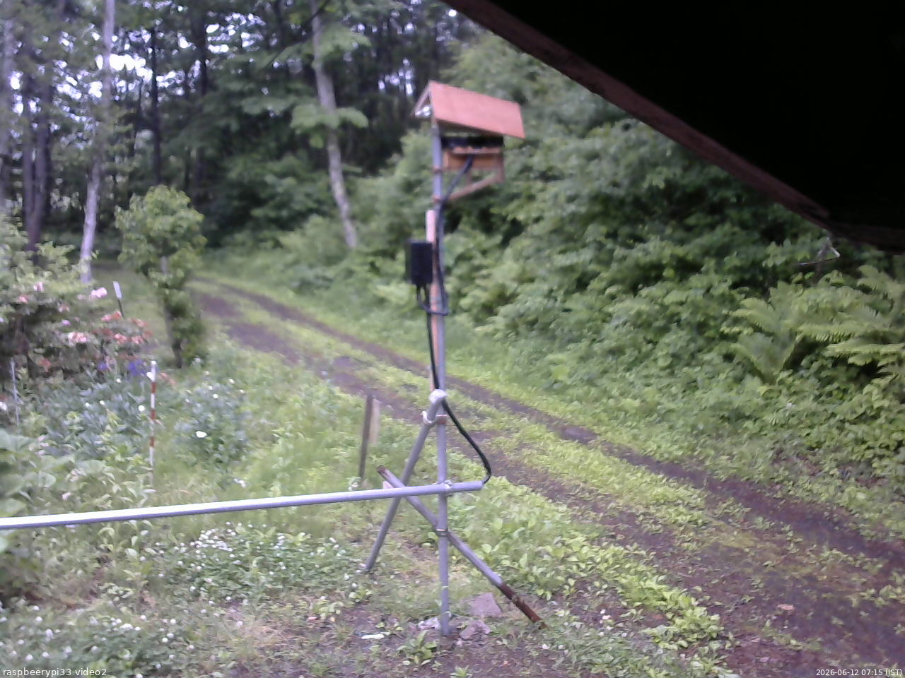 長野県菅平高原 ゆたか山荘 南側 2026/06/12 07:15