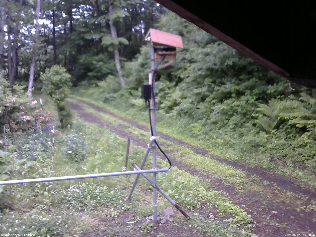 長野県菅平高原 ゆたか山荘 南側 2026/06/12 07:45
