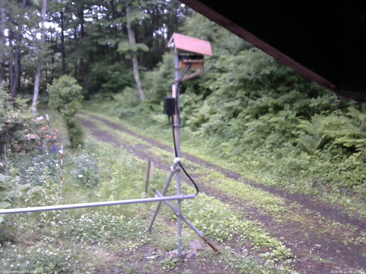 長野県菅平高原 ゆたか山荘 南側 2026/06/12 08:15