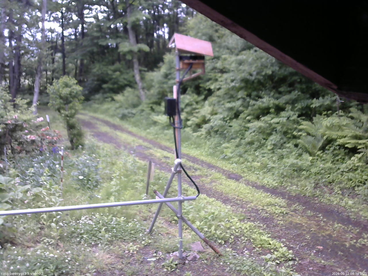 長野県菅平高原 ゆたか山荘 南側 2026/06/12 08:30
