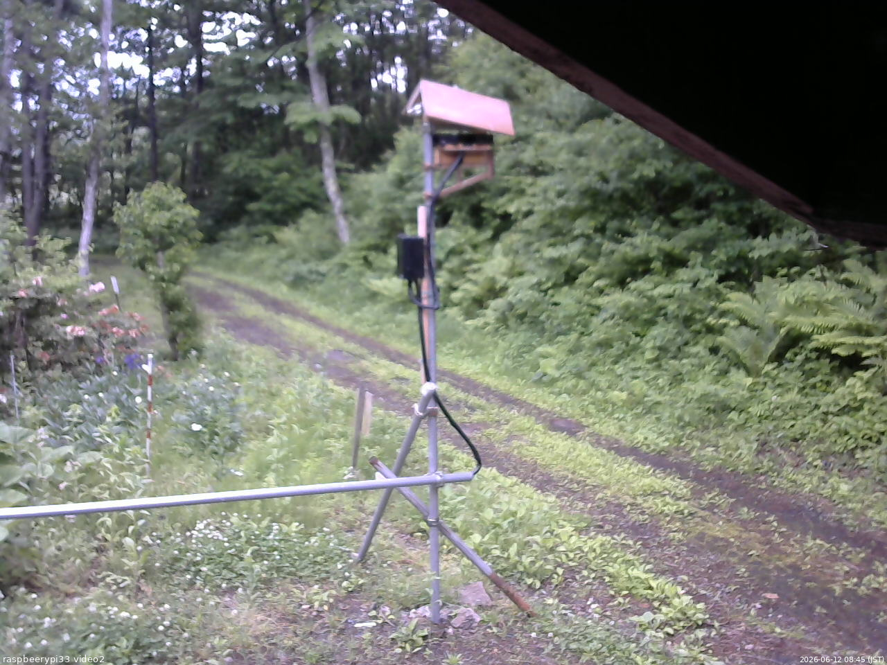 長野県菅平高原 ゆたか山荘 南側 2026/06/12 08:45