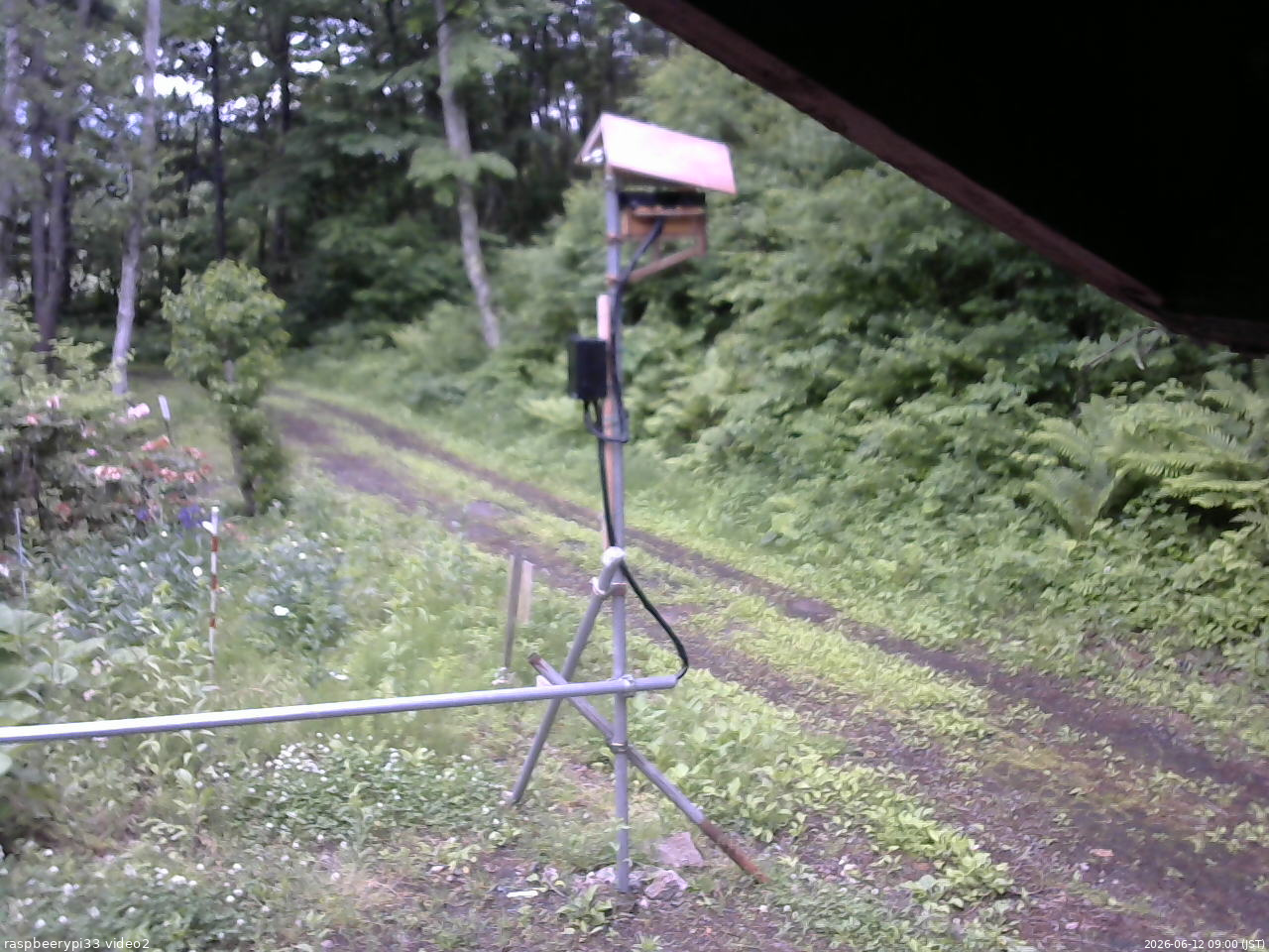 長野県菅平高原 ゆたか山荘 南側 2026/06/12 09:00