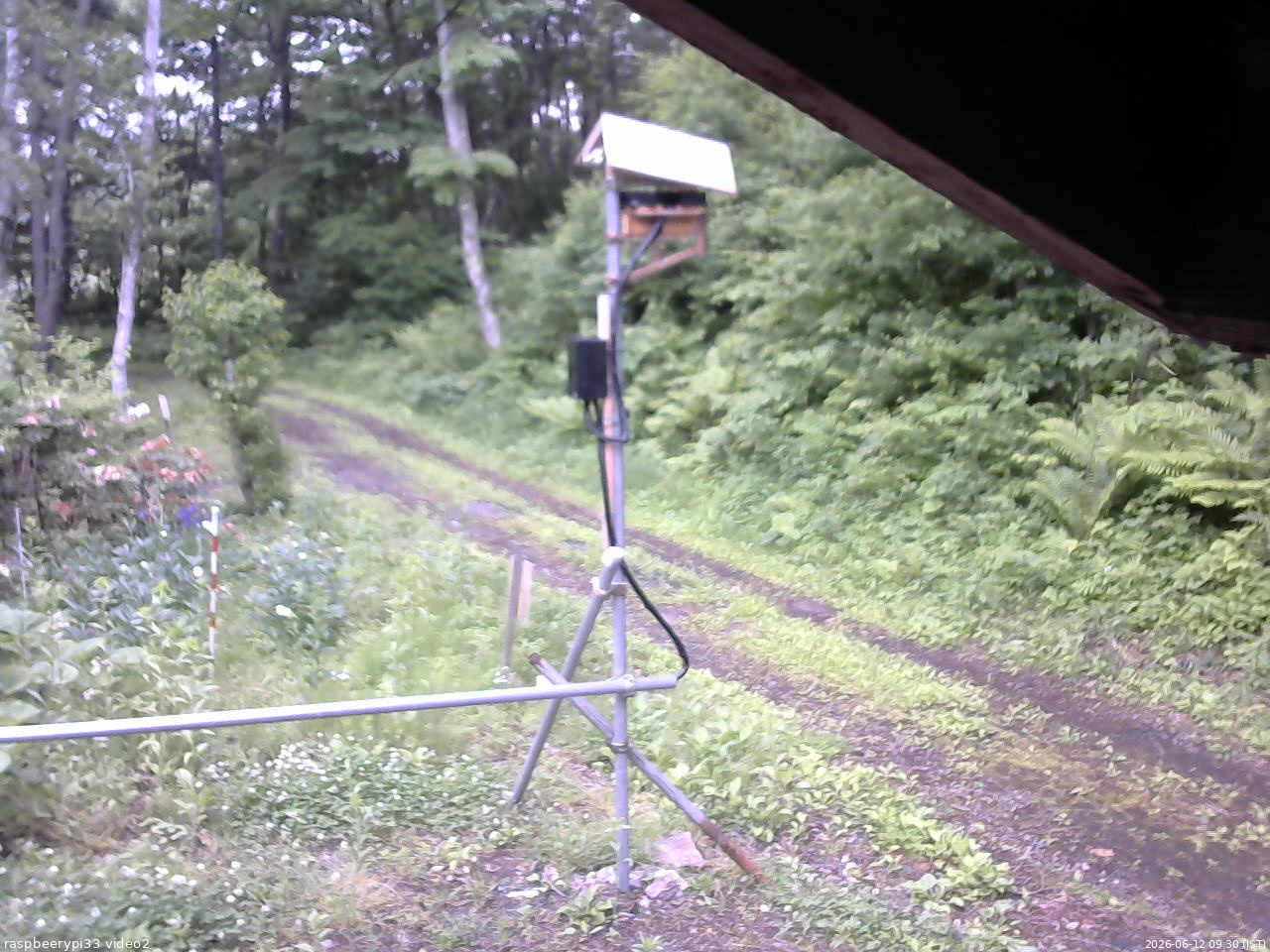 長野県菅平高原 ゆたか山荘 南側 2026/06/12 09:30