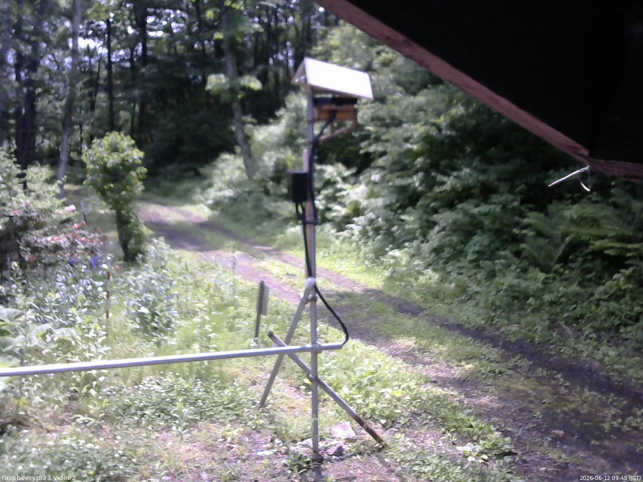 長野県菅平高原 ゆたか山荘 南側 2026/06/12 09:45