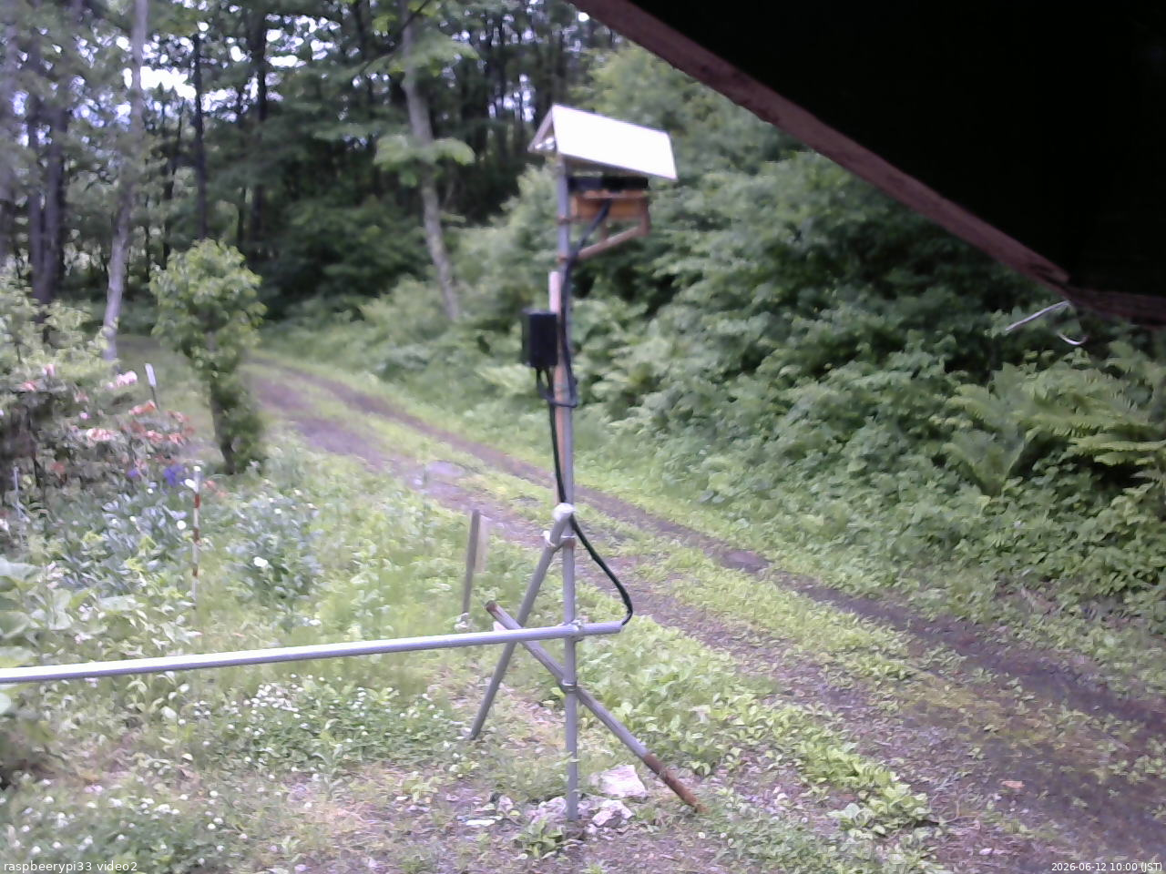 長野県菅平高原 ゆたか山荘 南側 2026/06/12 10:00