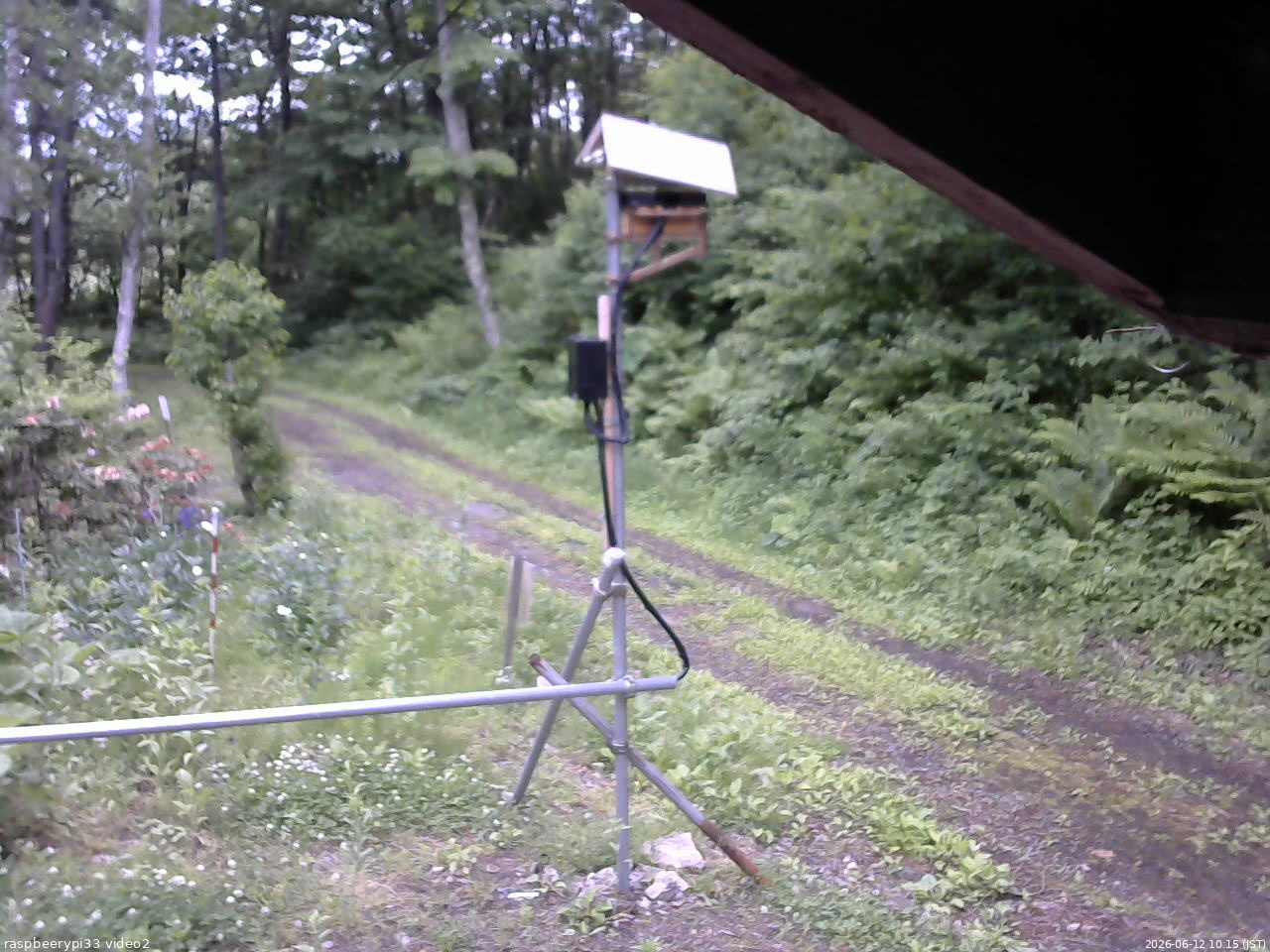 長野県菅平高原 ゆたか山荘 南側 2026/06/12 10:15