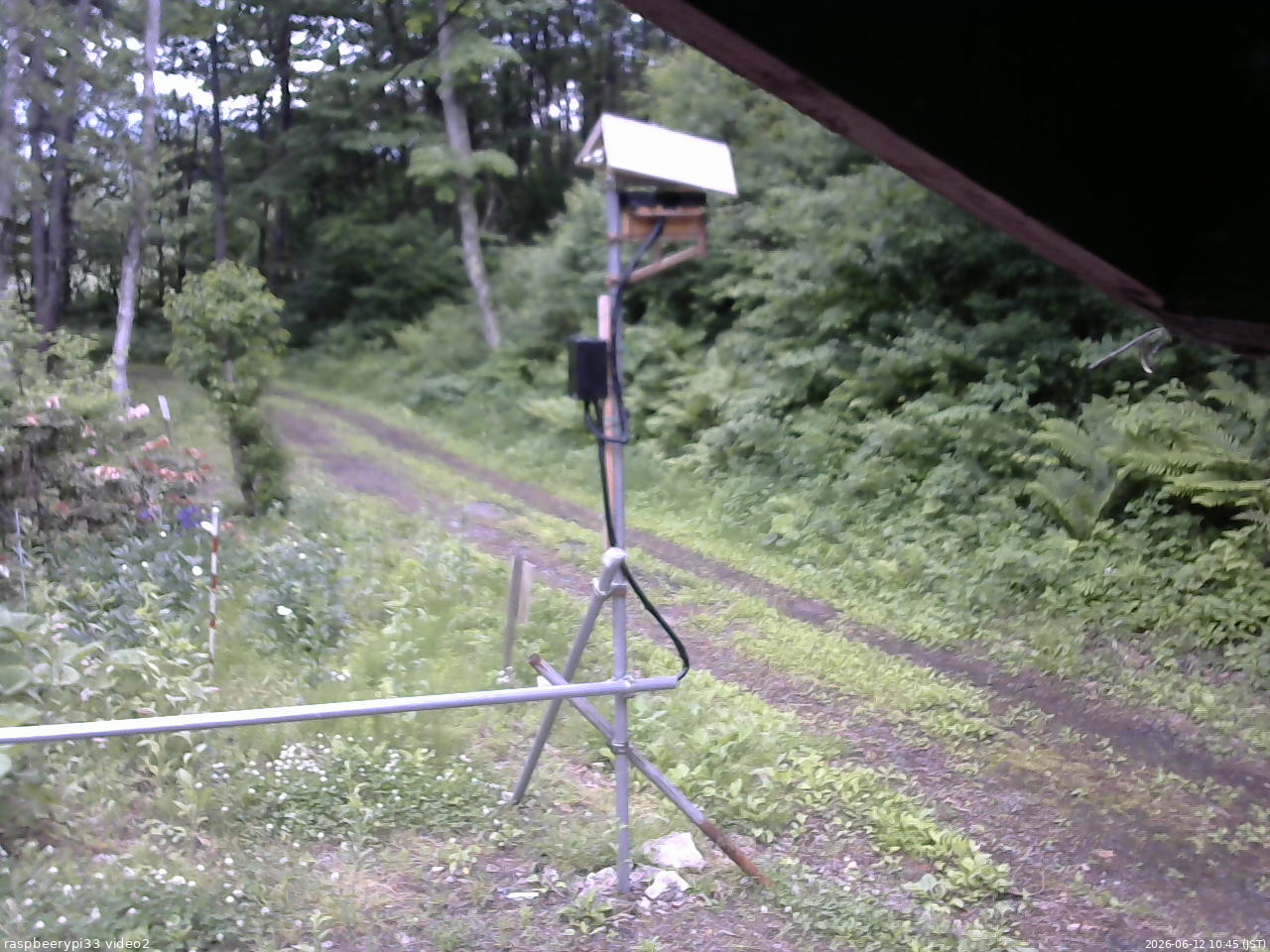 長野県菅平高原 ゆたか山荘 南側 2026/06/12 10:45