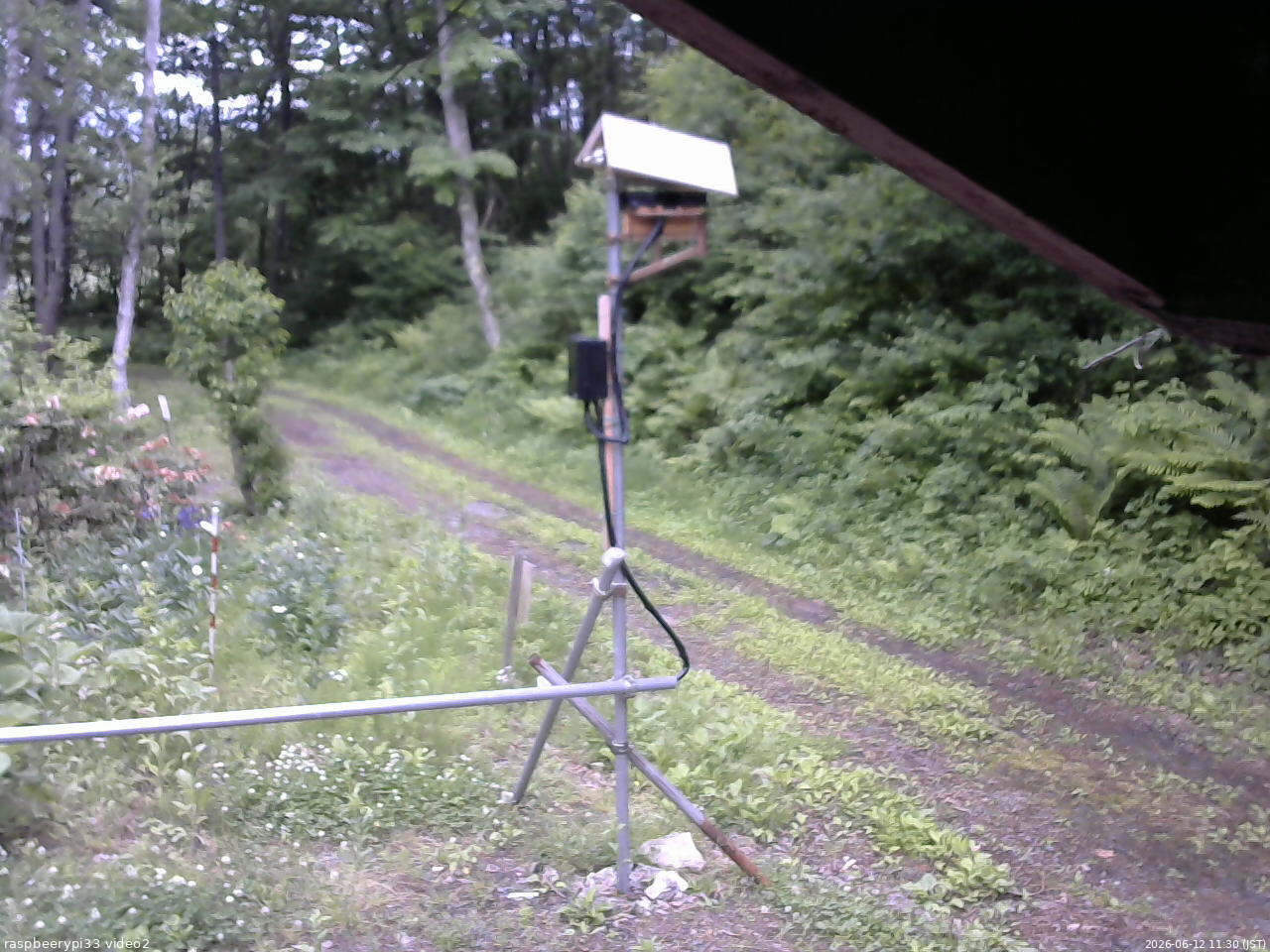 長野県菅平高原 ゆたか山荘 南側 2026/06/12 11:30