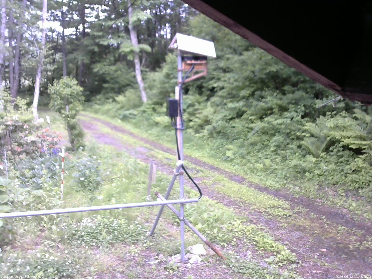 長野県菅平高原 ゆたか山荘 南側 2026/06/12 11:45