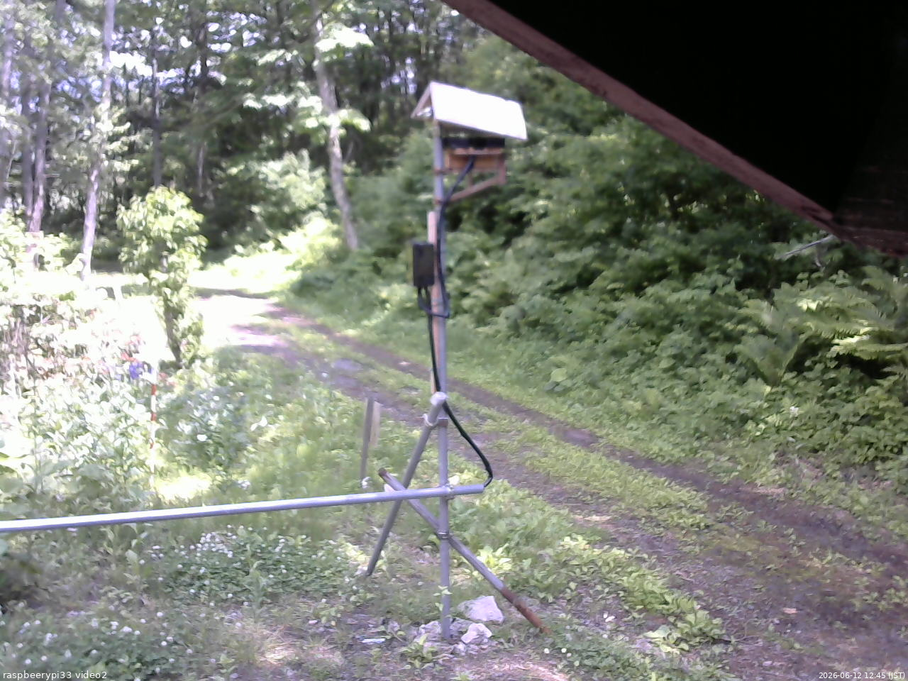 長野県菅平高原 ゆたか山荘 南側 2026/06/12 12:45