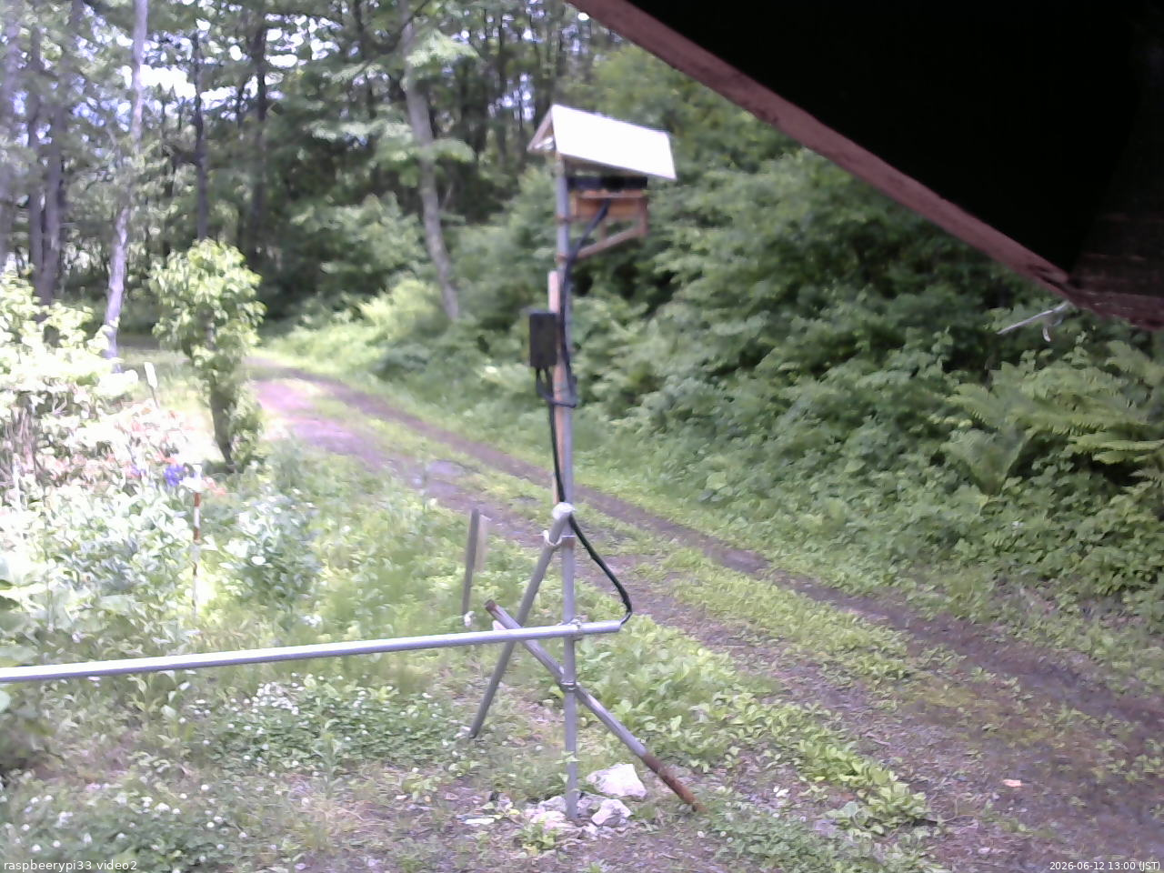 長野県菅平高原 ゆたか山荘 南側 2026/06/12 13:00