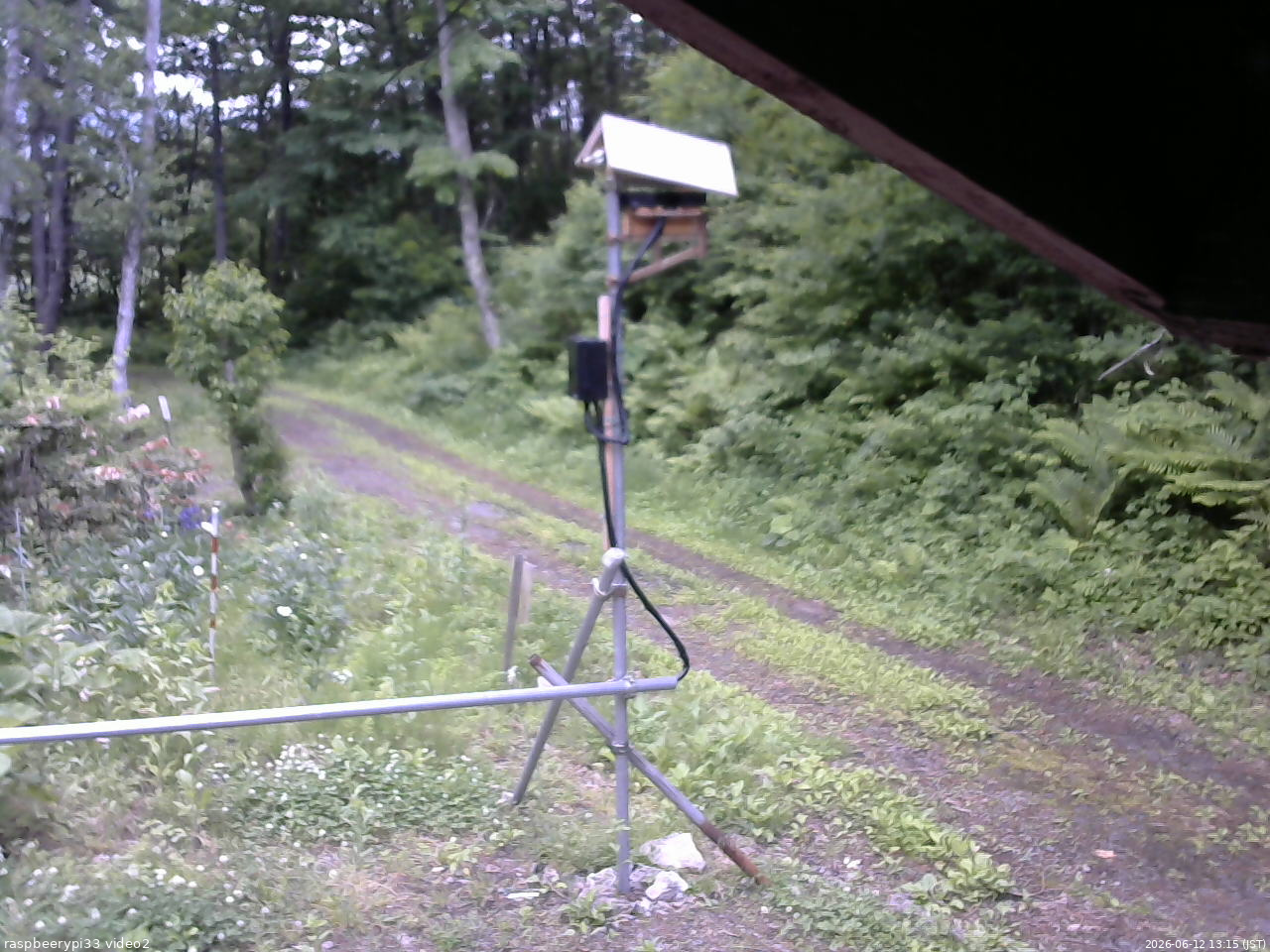 長野県菅平高原 ゆたか山荘 南側 2026/06/12 13:15