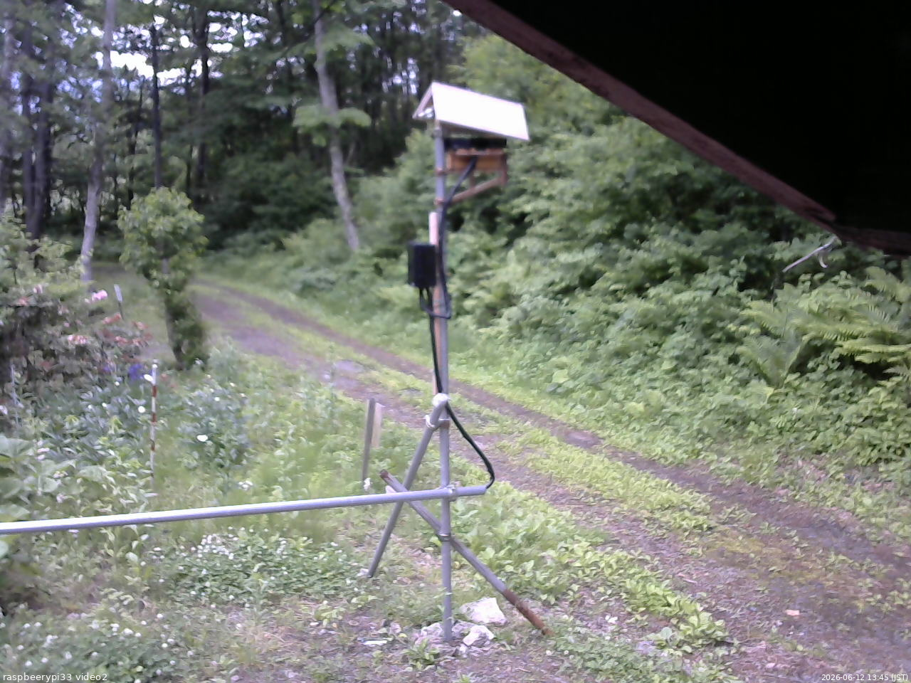 長野県菅平高原 ゆたか山荘 南側 2026/06/12 13:45