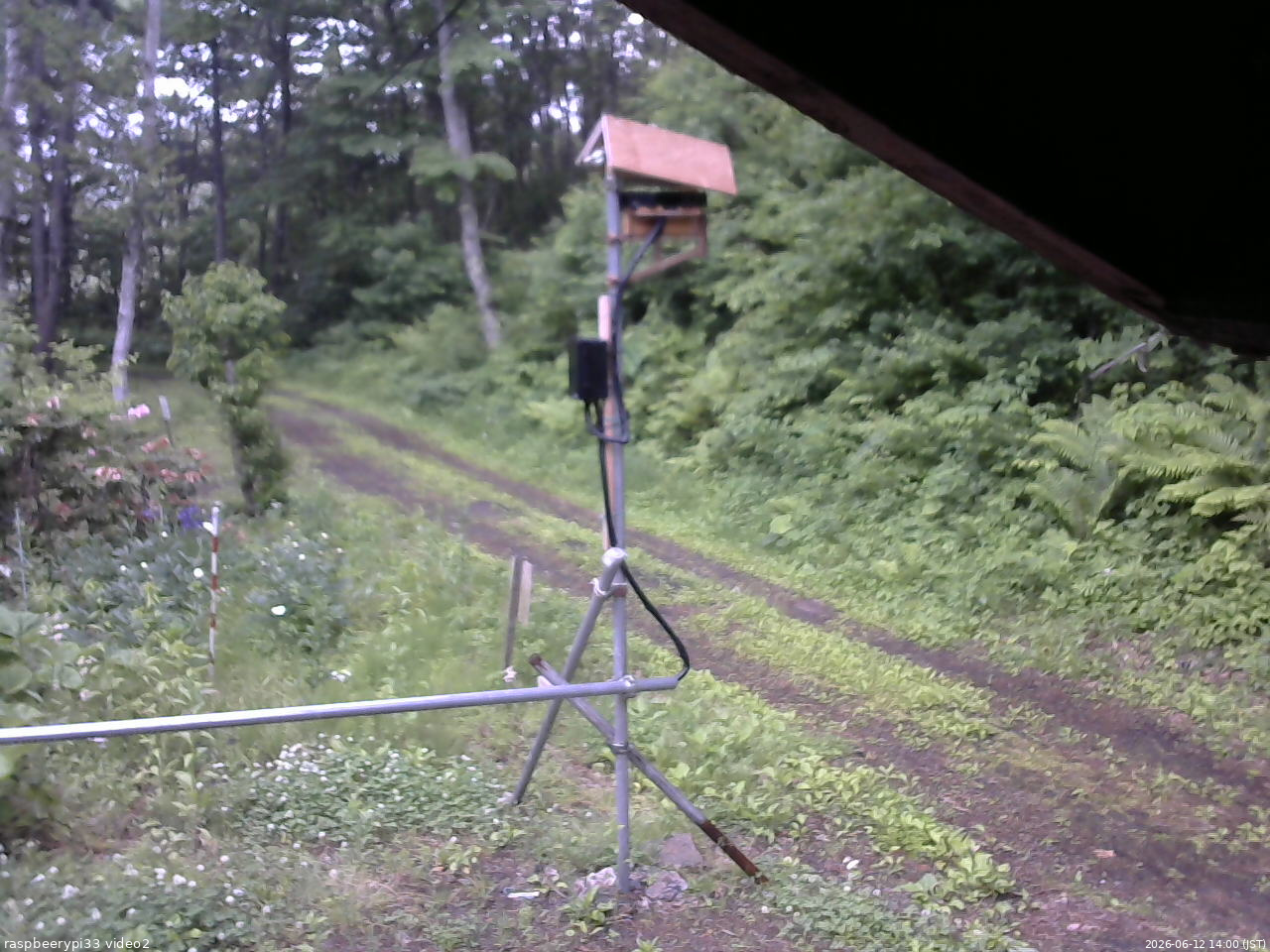 長野県菅平高原 ゆたか山荘 南側 2026/06/12 14:00