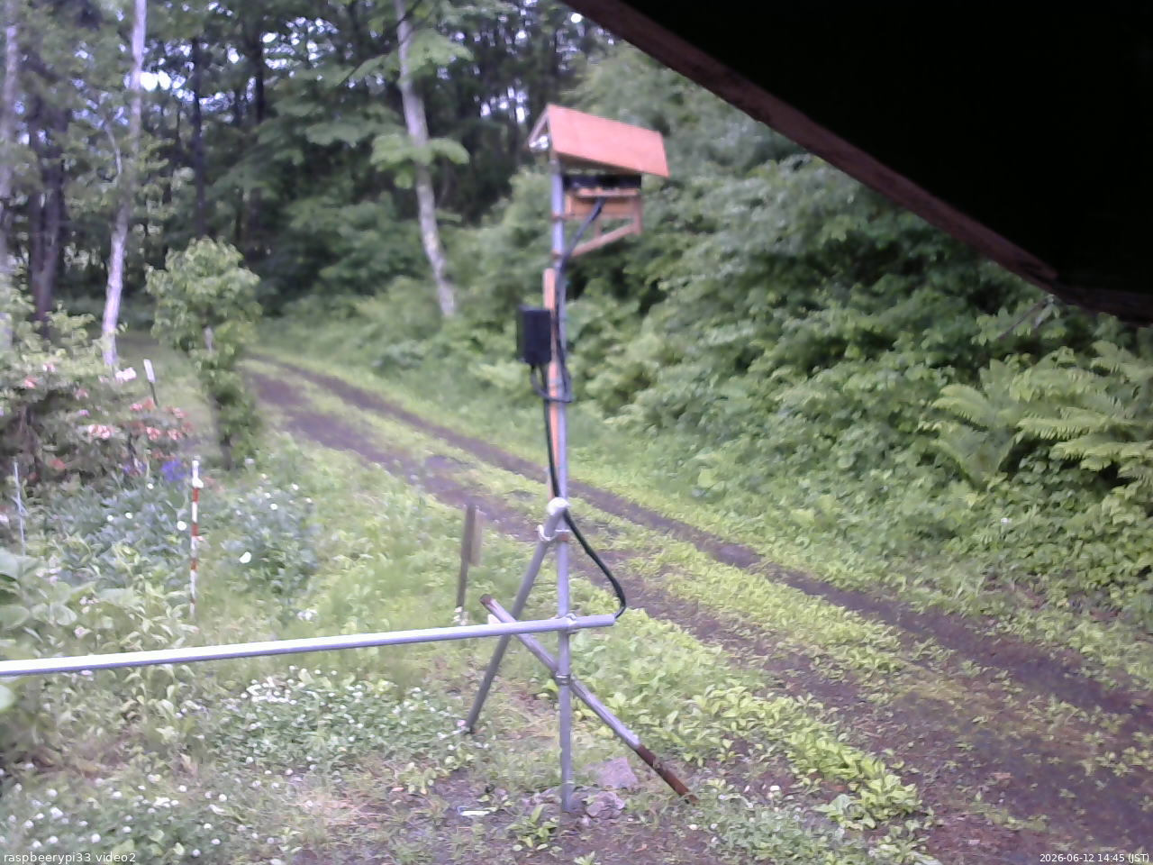 長野県菅平高原 ゆたか山荘 南側 2026/06/12 14:45