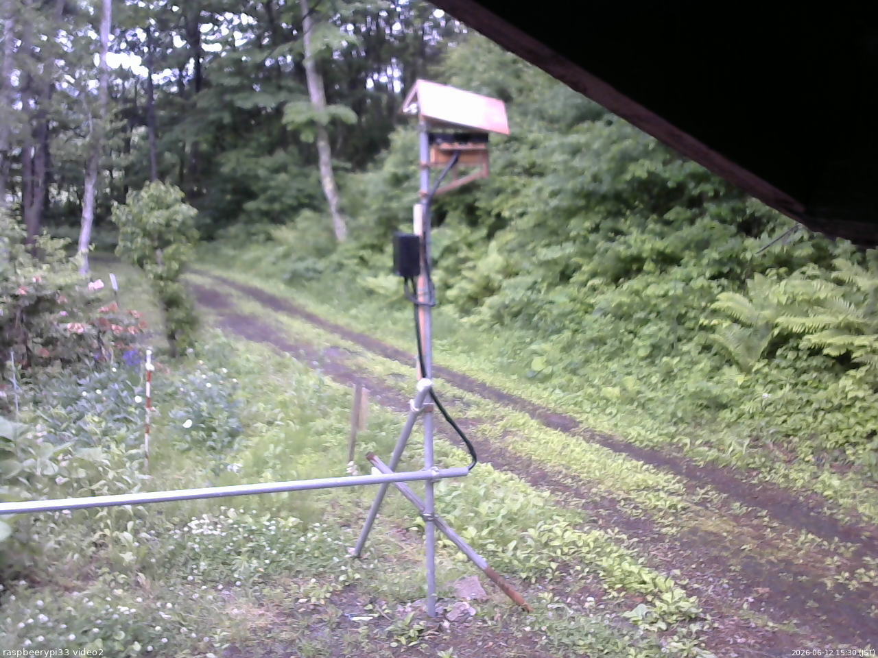 長野県菅平高原 ゆたか山荘 南側 2026/06/12 15:30