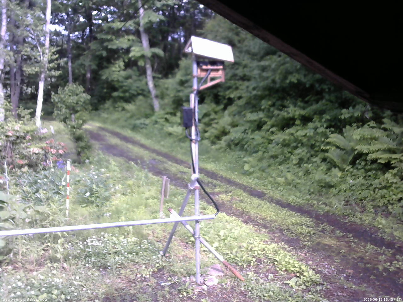 長野県菅平高原 ゆたか山荘 南側 2026/06/12 15:45