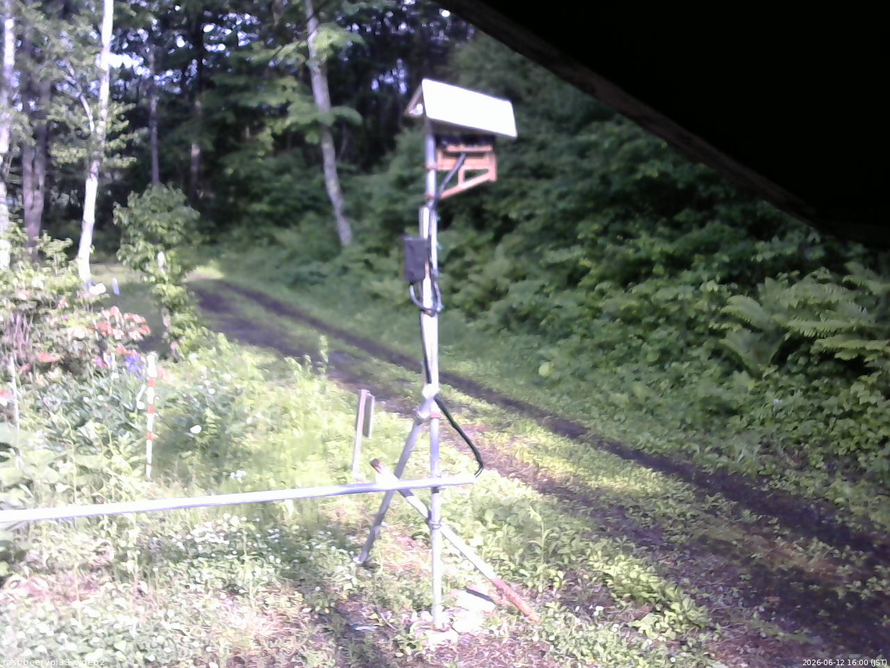 長野県菅平高原 ゆたか山荘 南側 2026/06/12 16:00