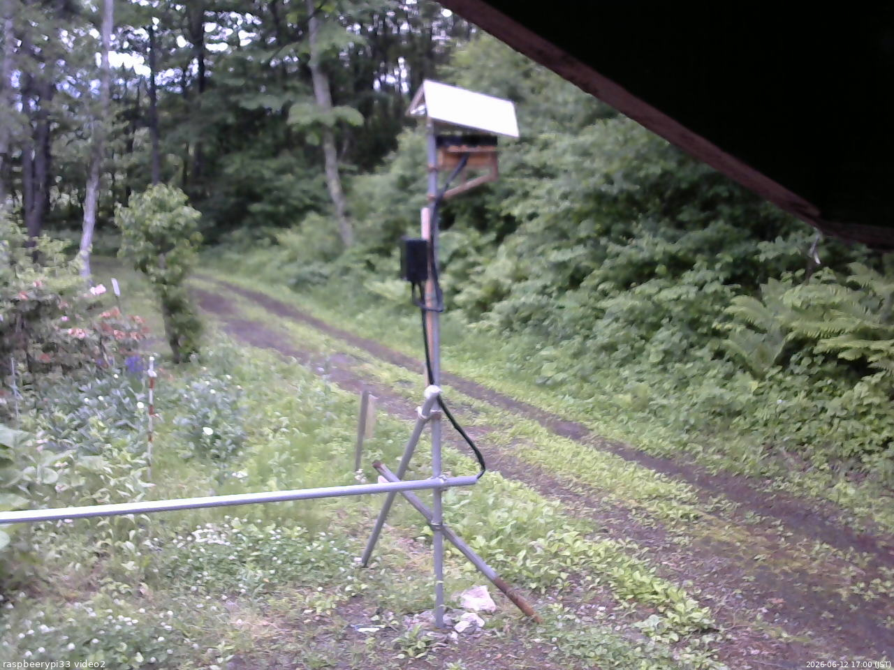 長野県菅平高原 ゆたか山荘 南側 2026/06/12 17:00