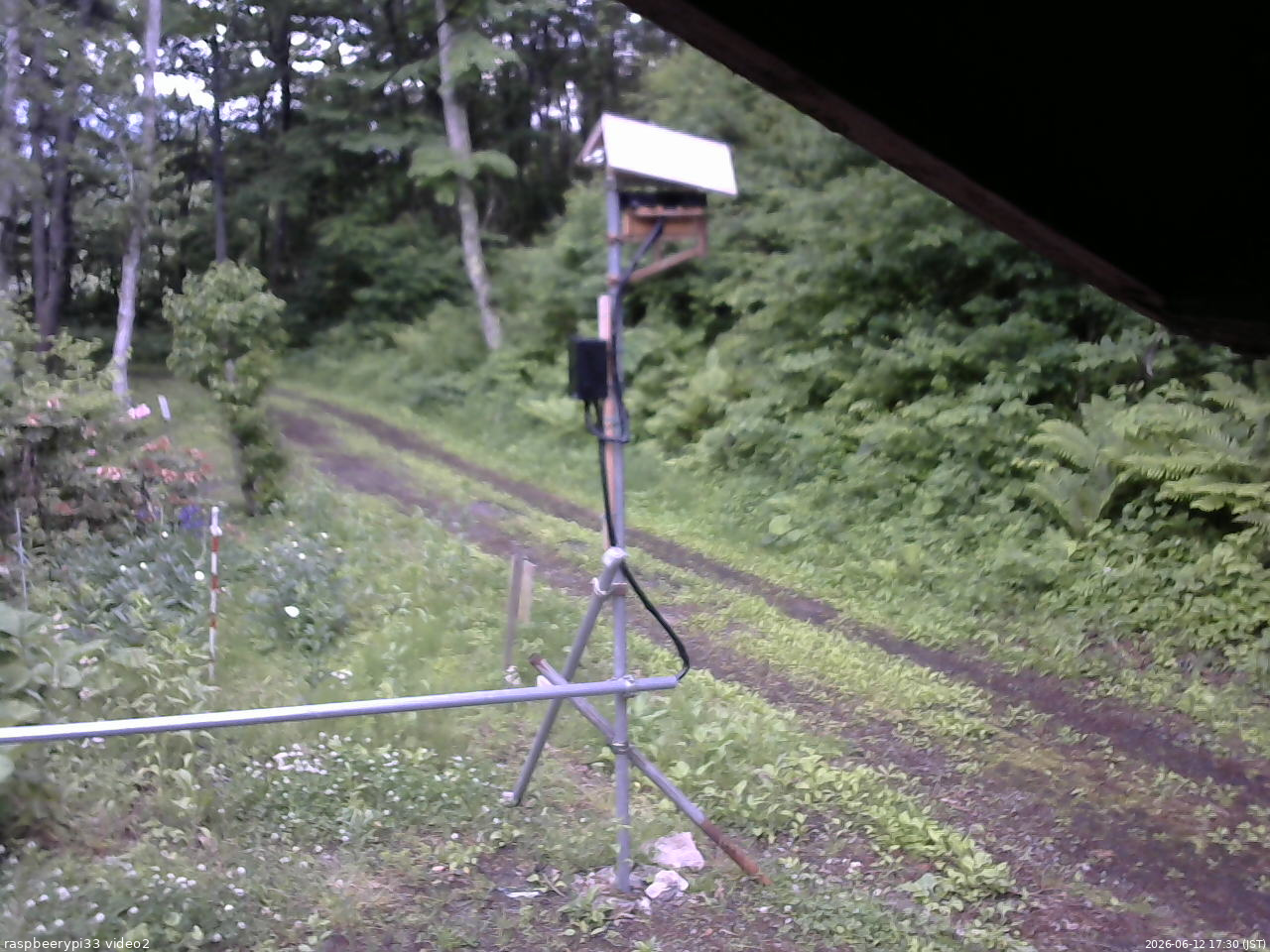 長野県菅平高原 ゆたか山荘 南側 2026/06/12 17:30