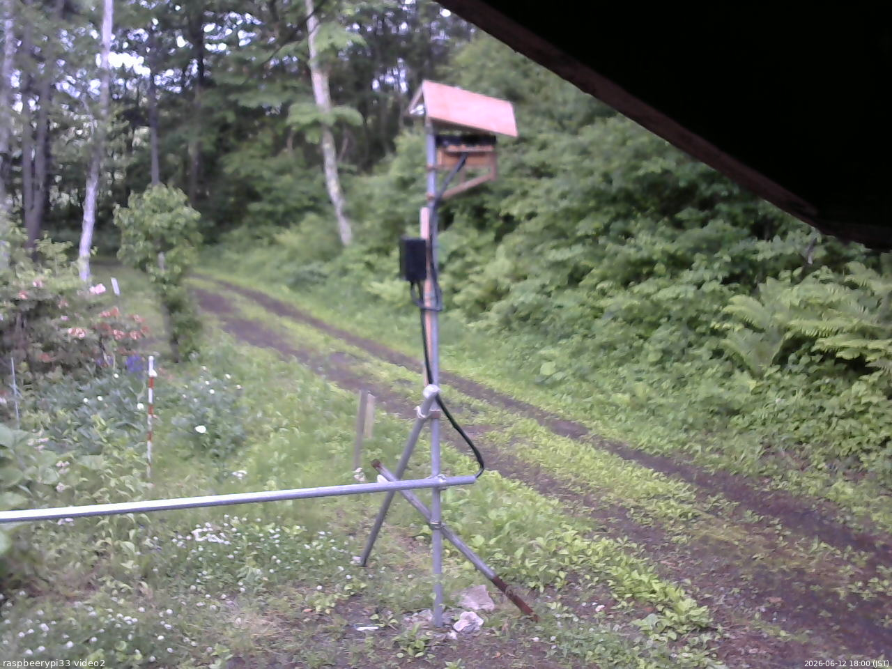 長野県菅平高原 ゆたか山荘 南側 2026/06/12 18:00
