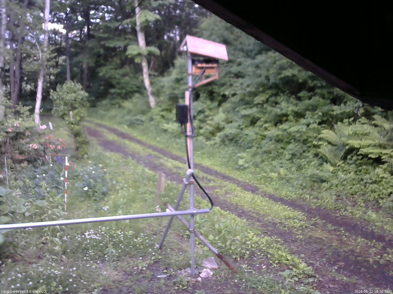 長野県菅平高原 ゆたか山荘 南側 2026/06/12 18:30
