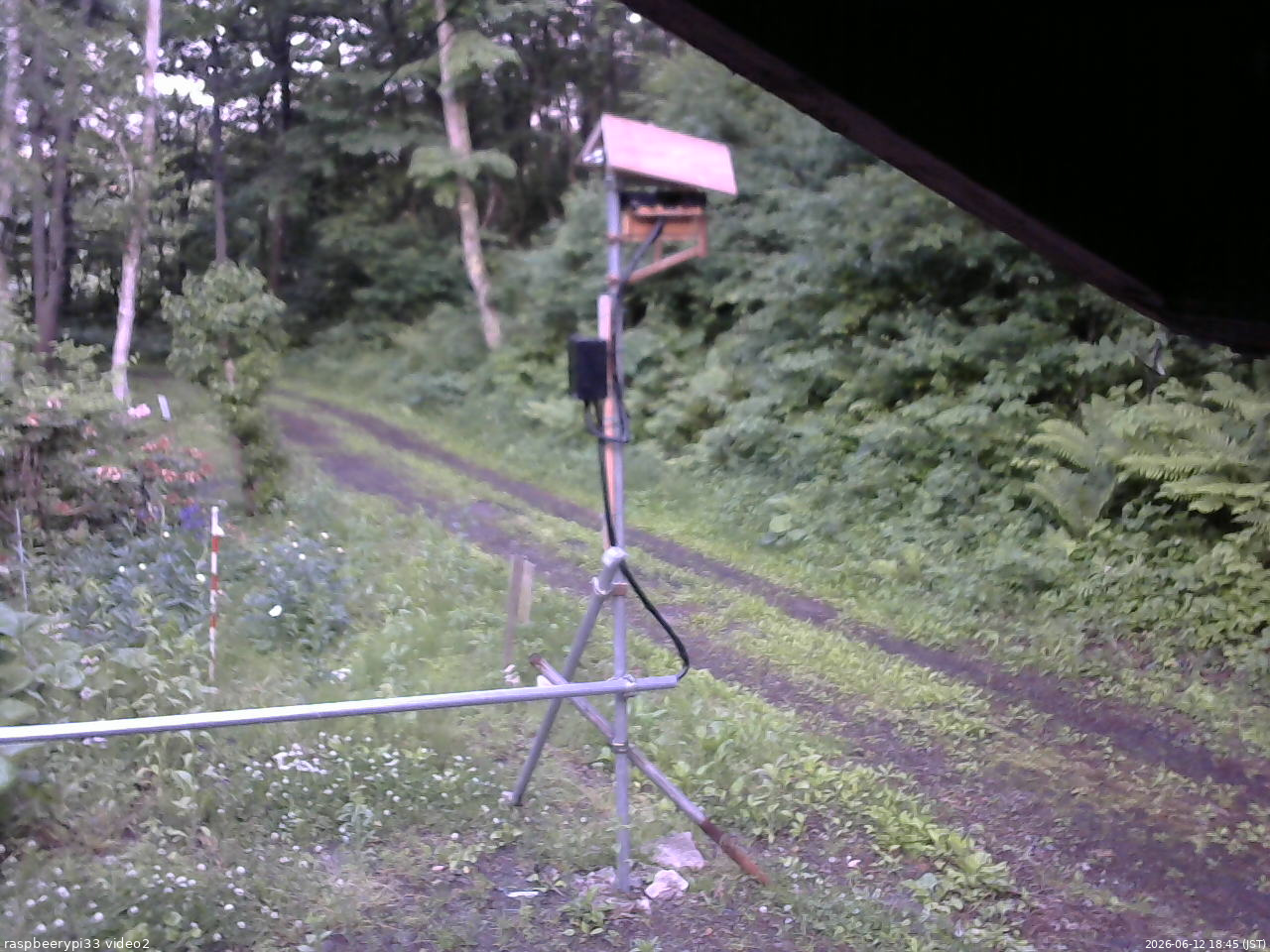 長野県菅平高原 ゆたか山荘 南側 2026/06/12 18:45