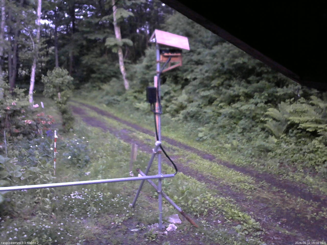 長野県菅平高原 ゆたか山荘 南側 2026/06/12 19:00