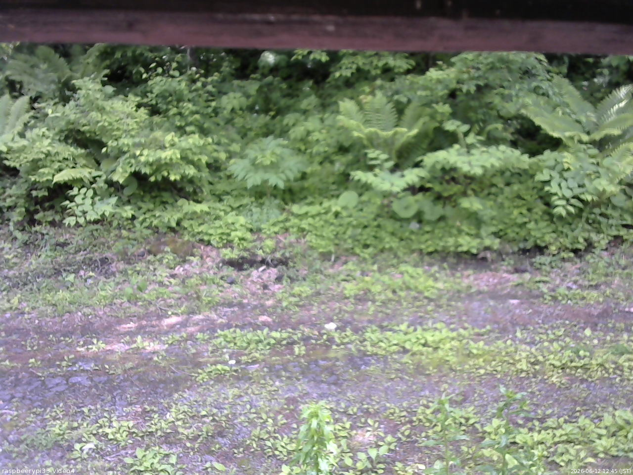 長野県菅平高原 ゆたか山荘 東側(坂下) 2026/06/12 12:45