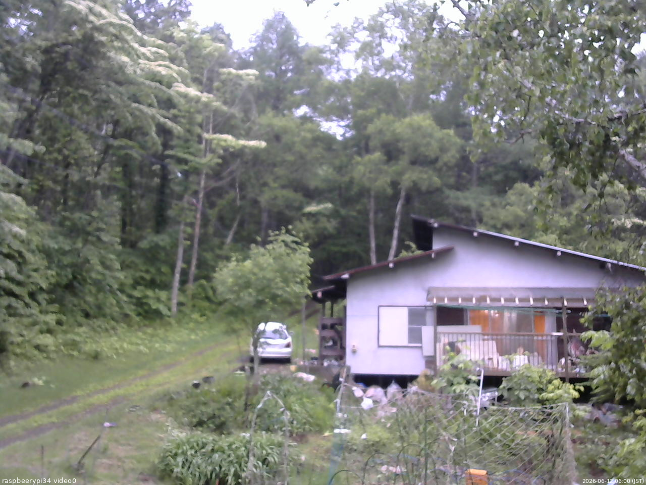 長野県菅平高原 ゆたか山荘 西側(坂上) 2026/06/12 06:00