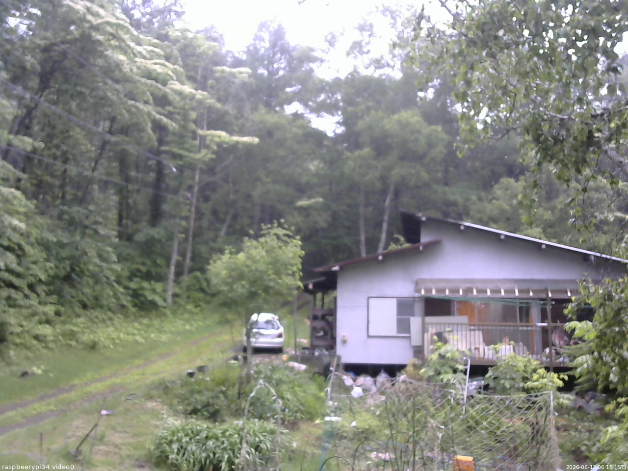 長野県菅平高原 ゆたか山荘 西側(坂上) 2026/06/12 06:15