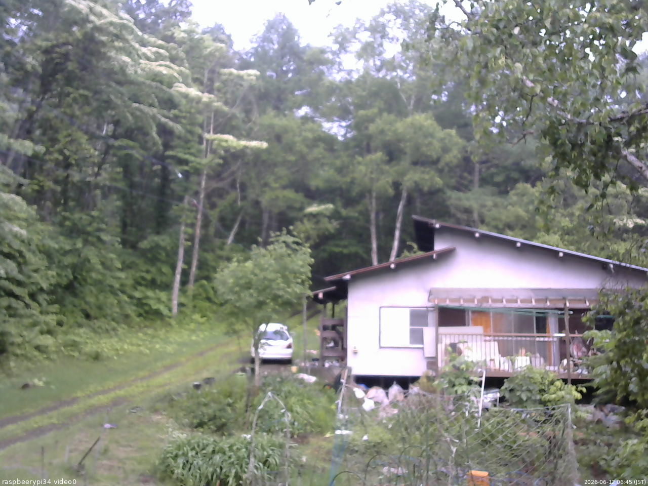 長野県菅平高原 ゆたか山荘 西側(坂上) 2026/06/12 06:45