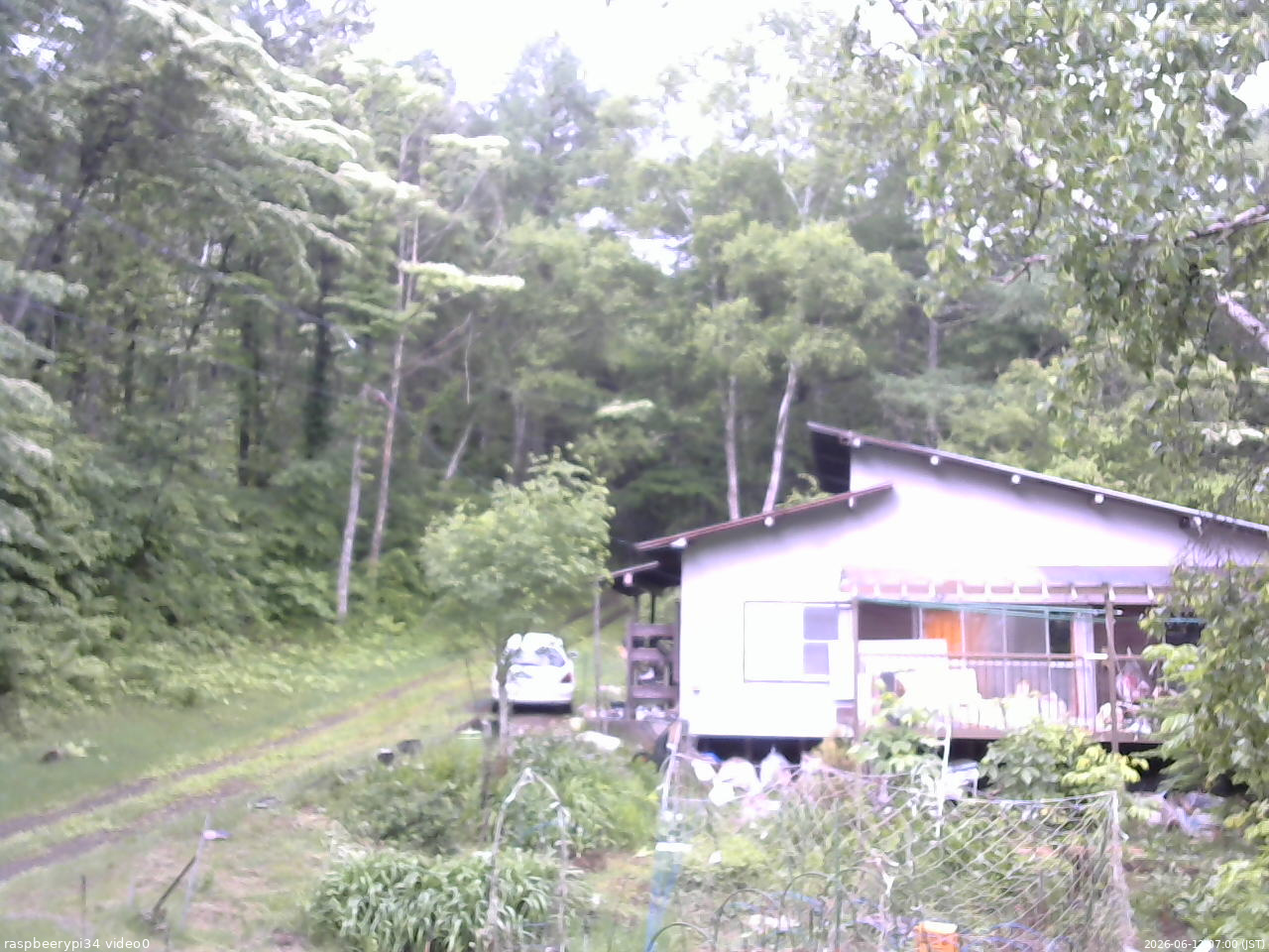 長野県菅平高原 ゆたか山荘 西側(坂上) 2026/06/12 07:00