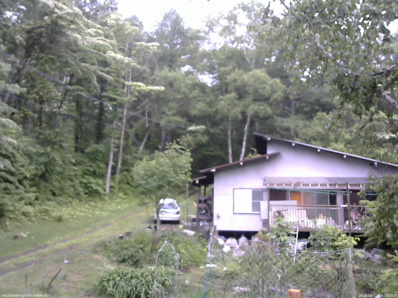 長野県菅平高原 ゆたか山荘 西側(坂上) 2026/06/12 08:15
