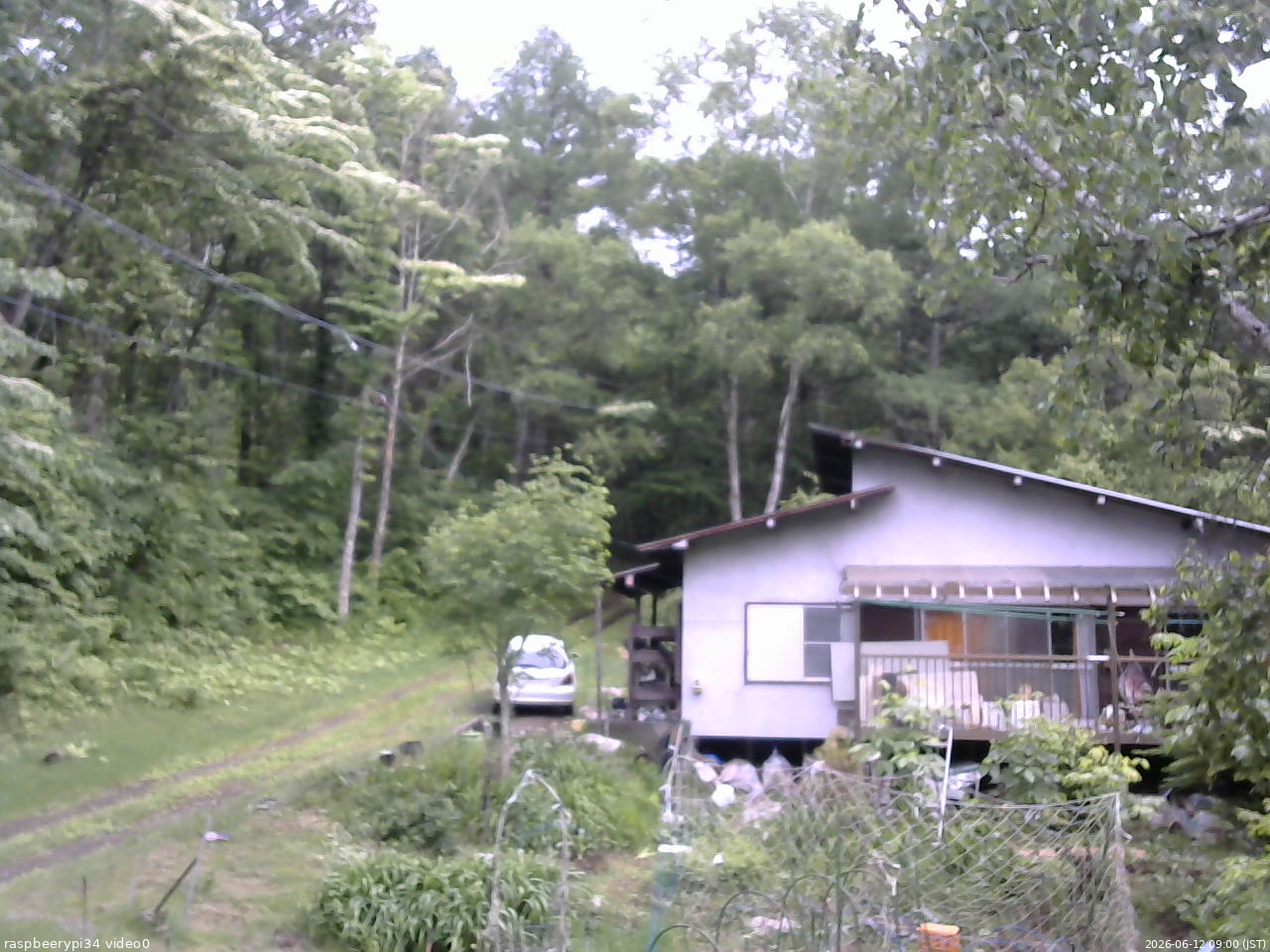 長野県菅平高原 ゆたか山荘 西側(坂上) 2026/06/12 09:00