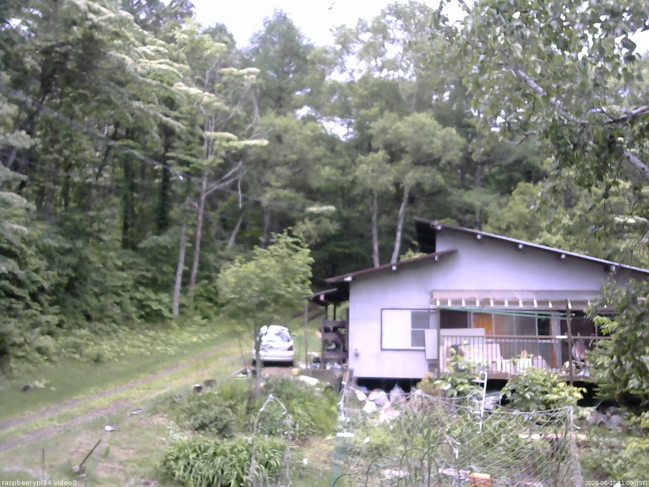 長野県菅平高原 ゆたか山荘 西側(坂上) 2026/06/12 11:00