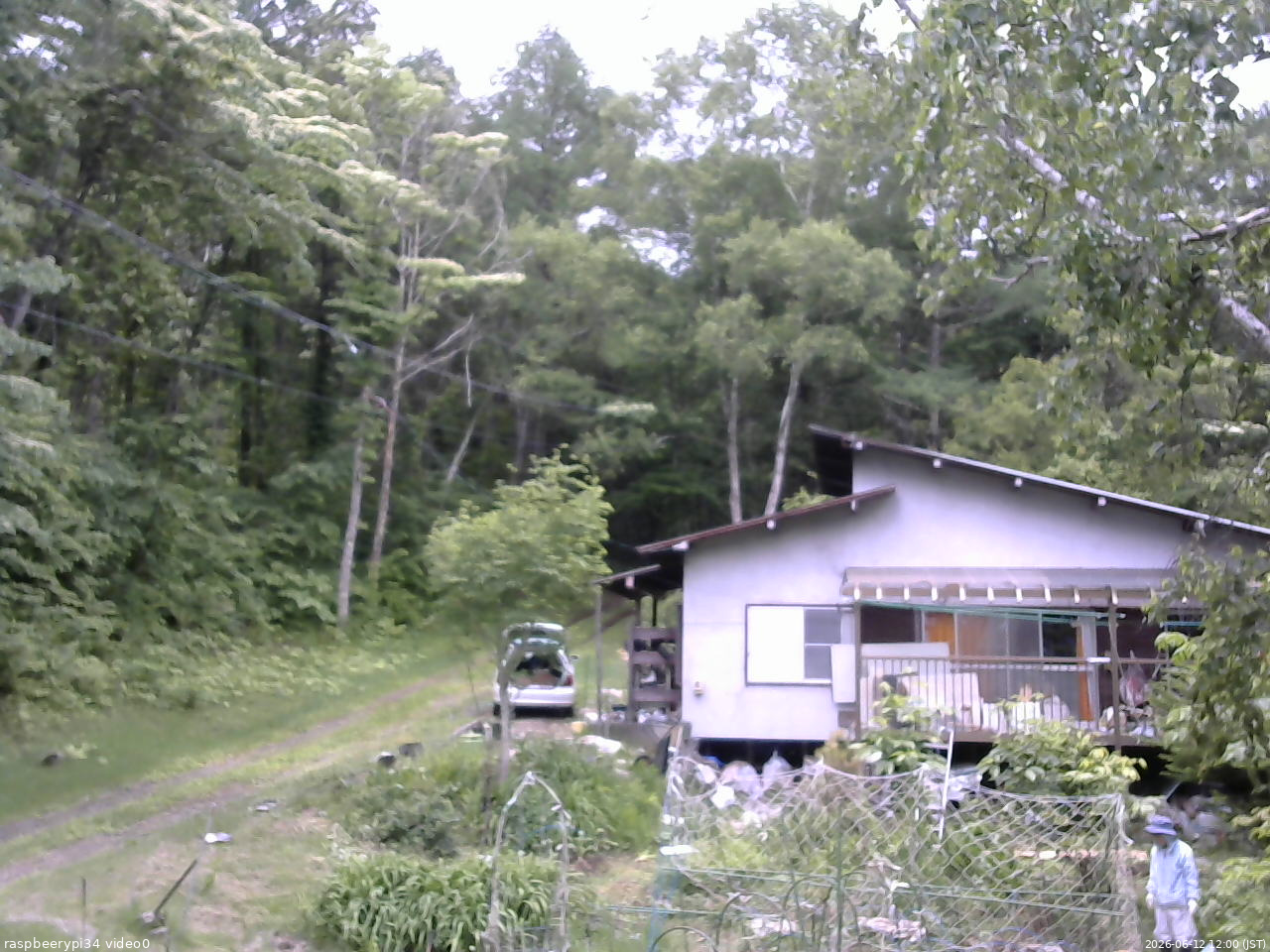 長野県菅平高原 ゆたか山荘 西側(坂上) 2026/06/12 12:00