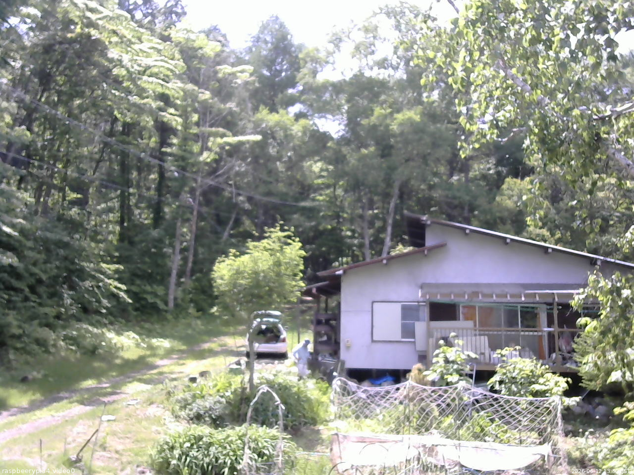 長野県菅平高原 ゆたか山荘 西側(坂上) 2026/06/12 13:30