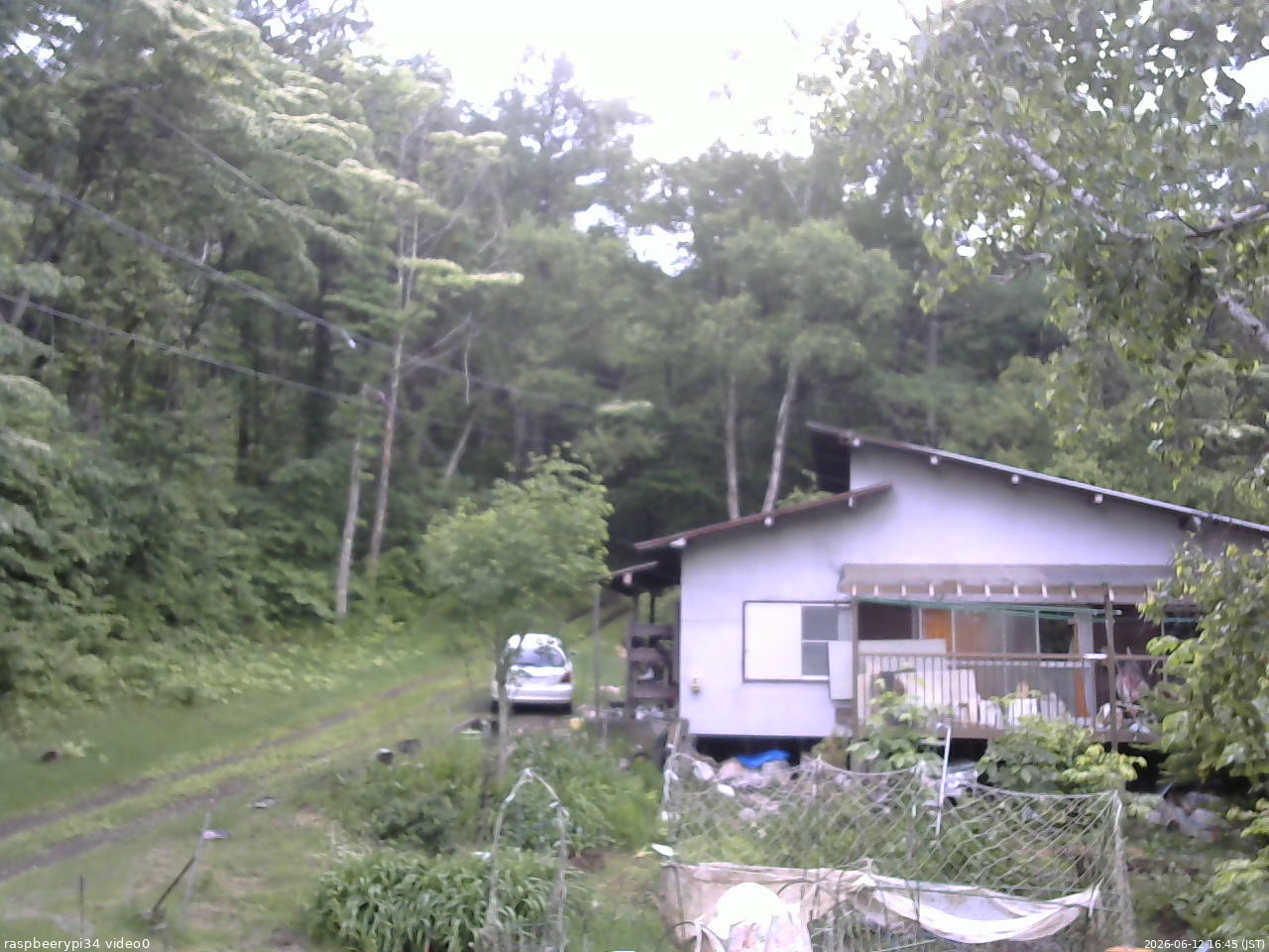 長野県菅平高原 ゆたか山荘 西側(坂上) 2026/06/12 16:45
