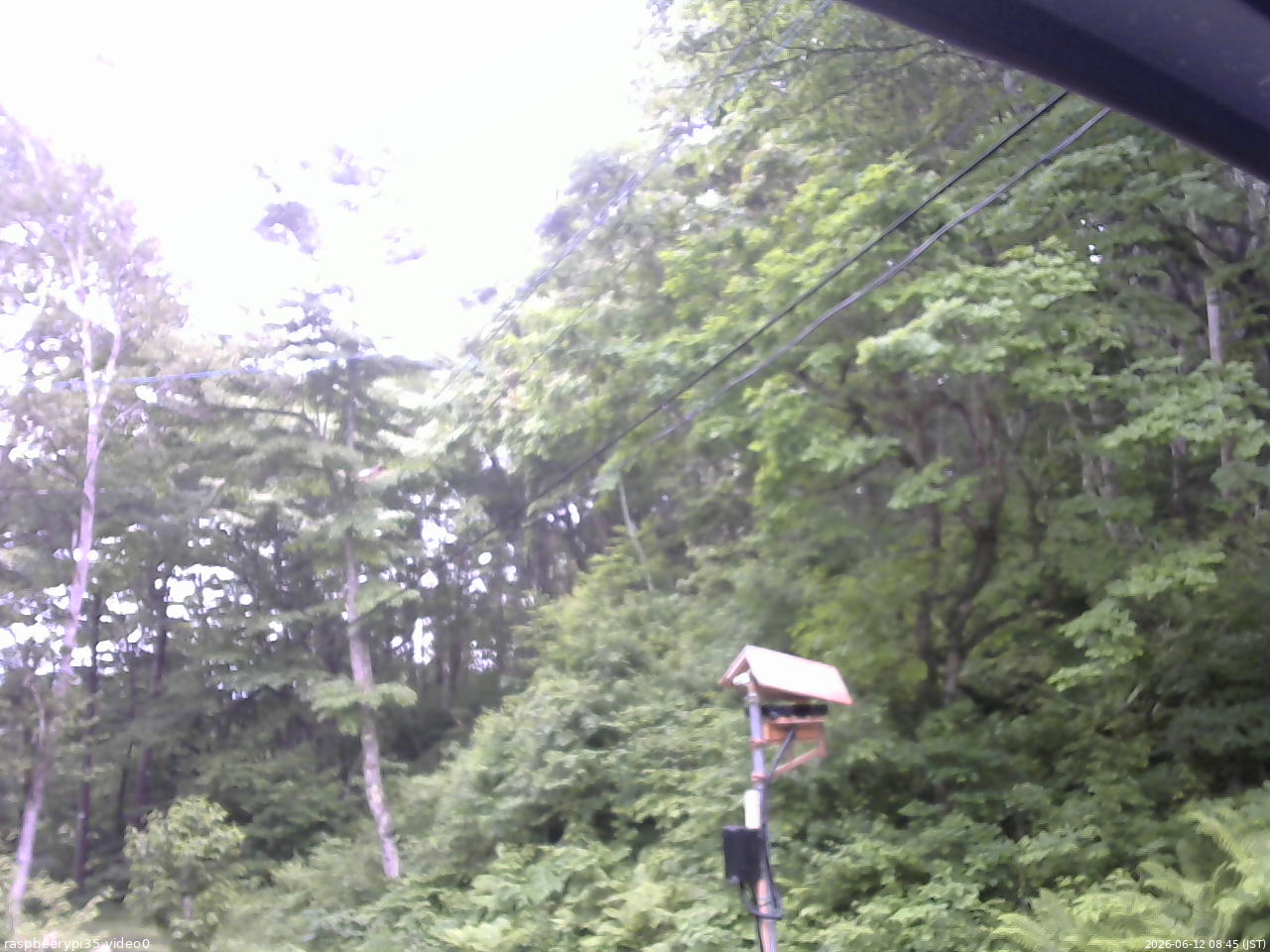 長野県菅平高原 ゆたか山荘 温度計 2026/06/12 08:45