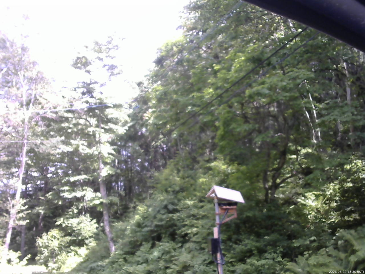 長野県菅平高原 ゆたか山荘 温度計 2026/06/12 13:30