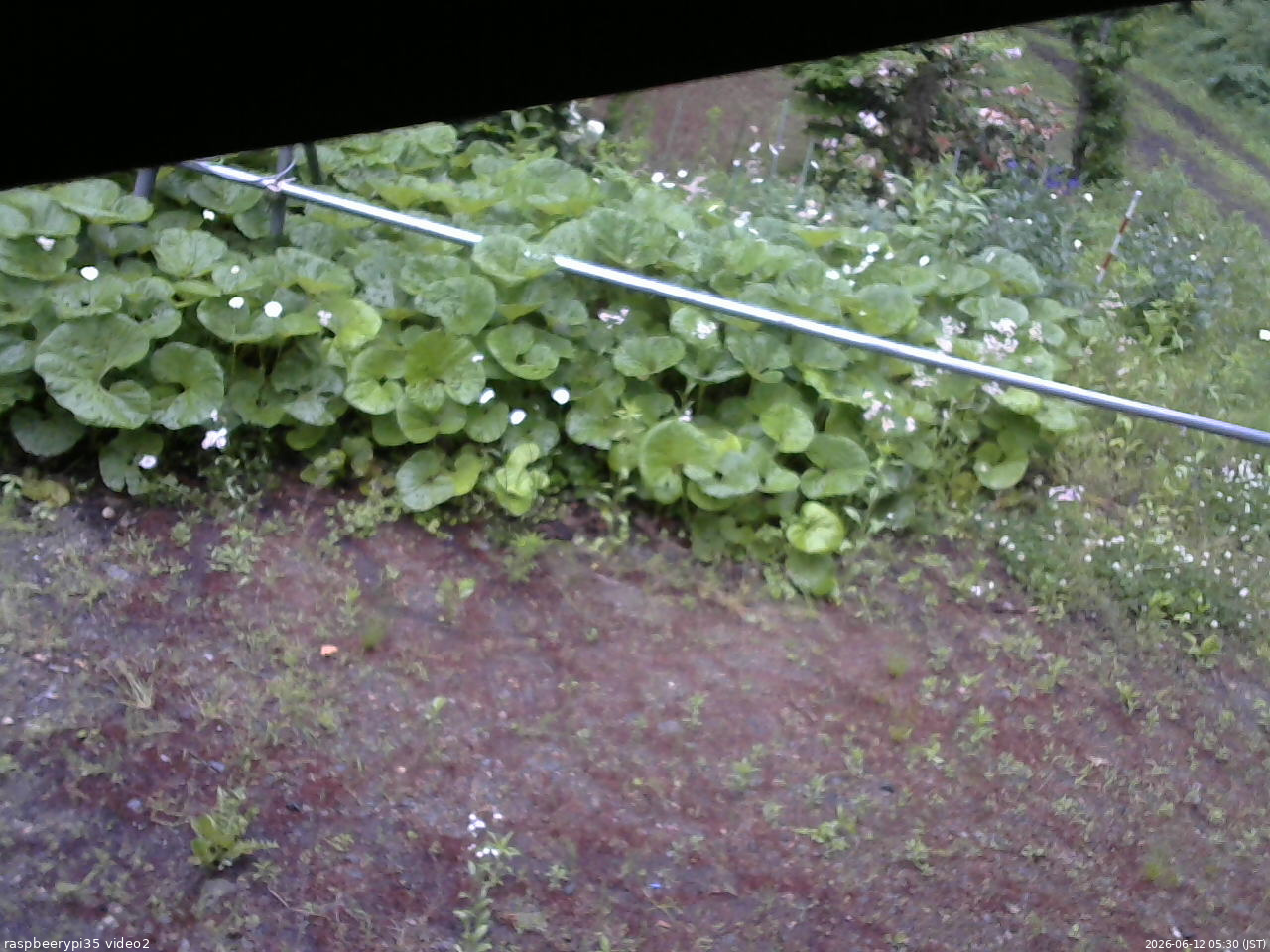 長野県菅平高原 ゆたか山荘 駐車場 2026/06/12 05:30