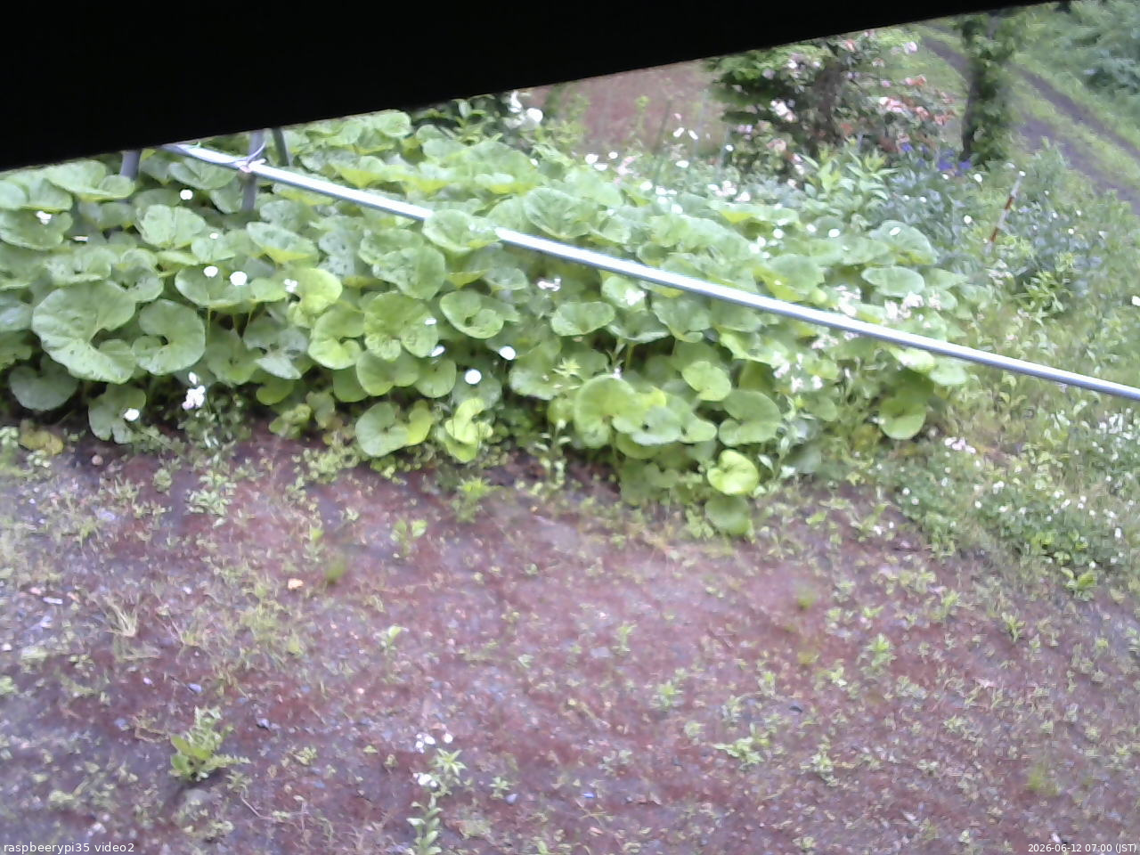 長野県菅平高原 ゆたか山荘 駐車場 2026/06/12 07:00
