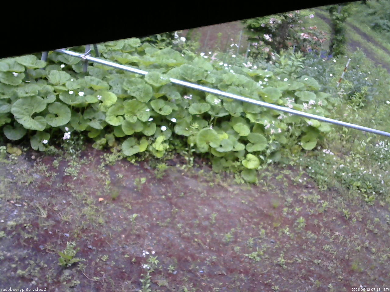 長野県菅平高原 ゆたか山荘 駐車場 2026/06/12 07:15