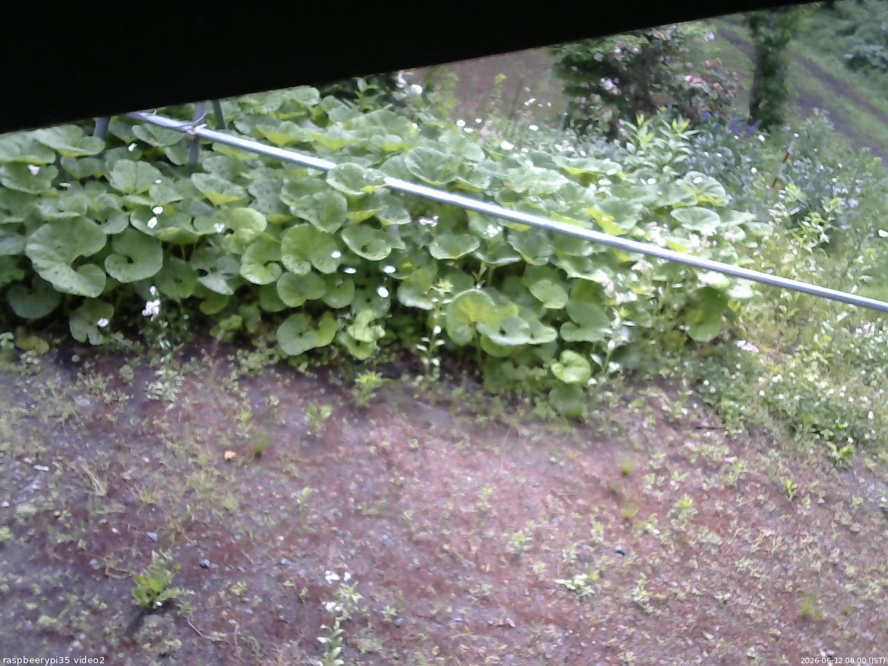 長野県菅平高原 ゆたか山荘 駐車場 2026/06/12 08:00