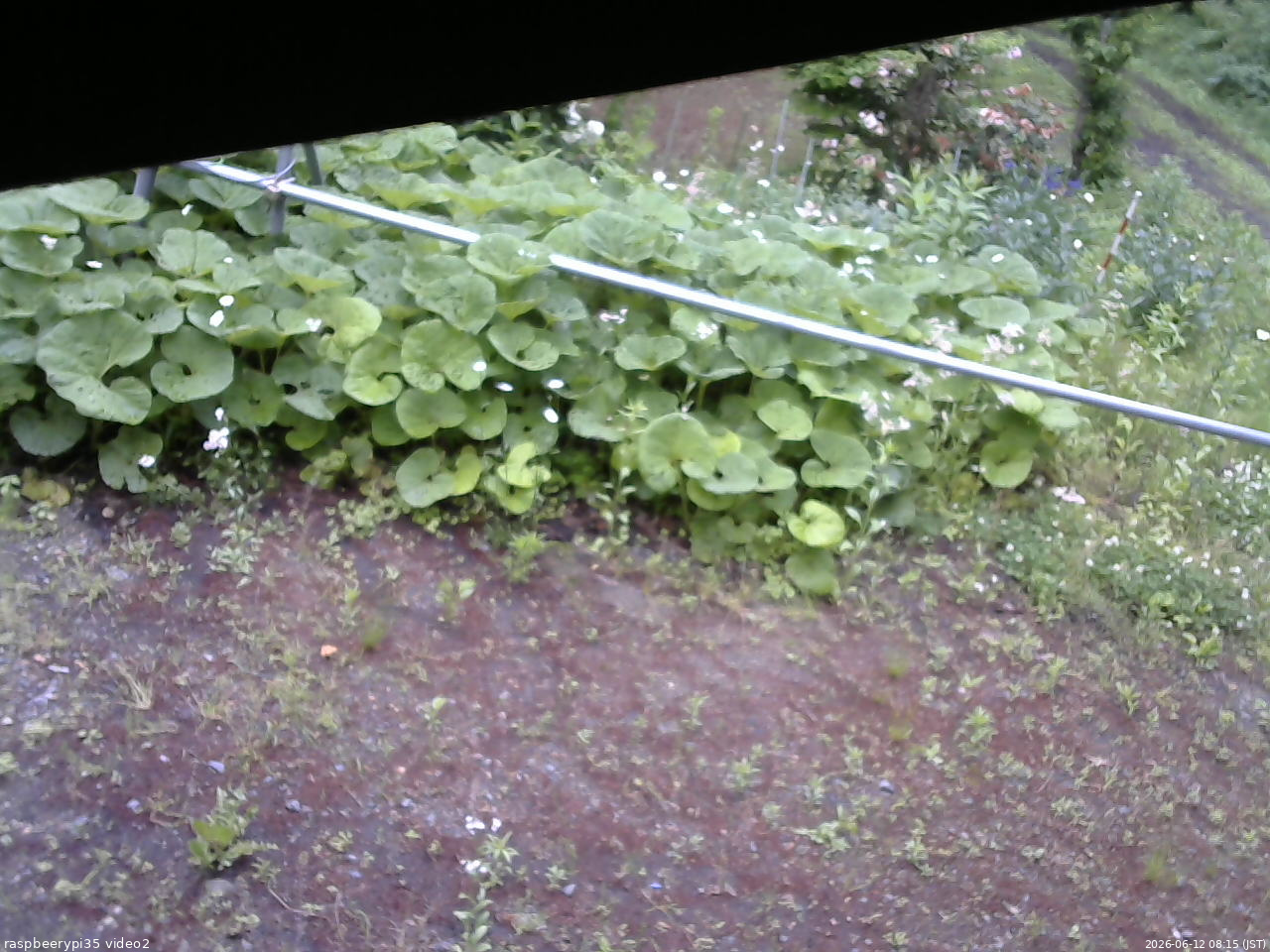 長野県菅平高原 ゆたか山荘 駐車場 2026/06/12 08:15